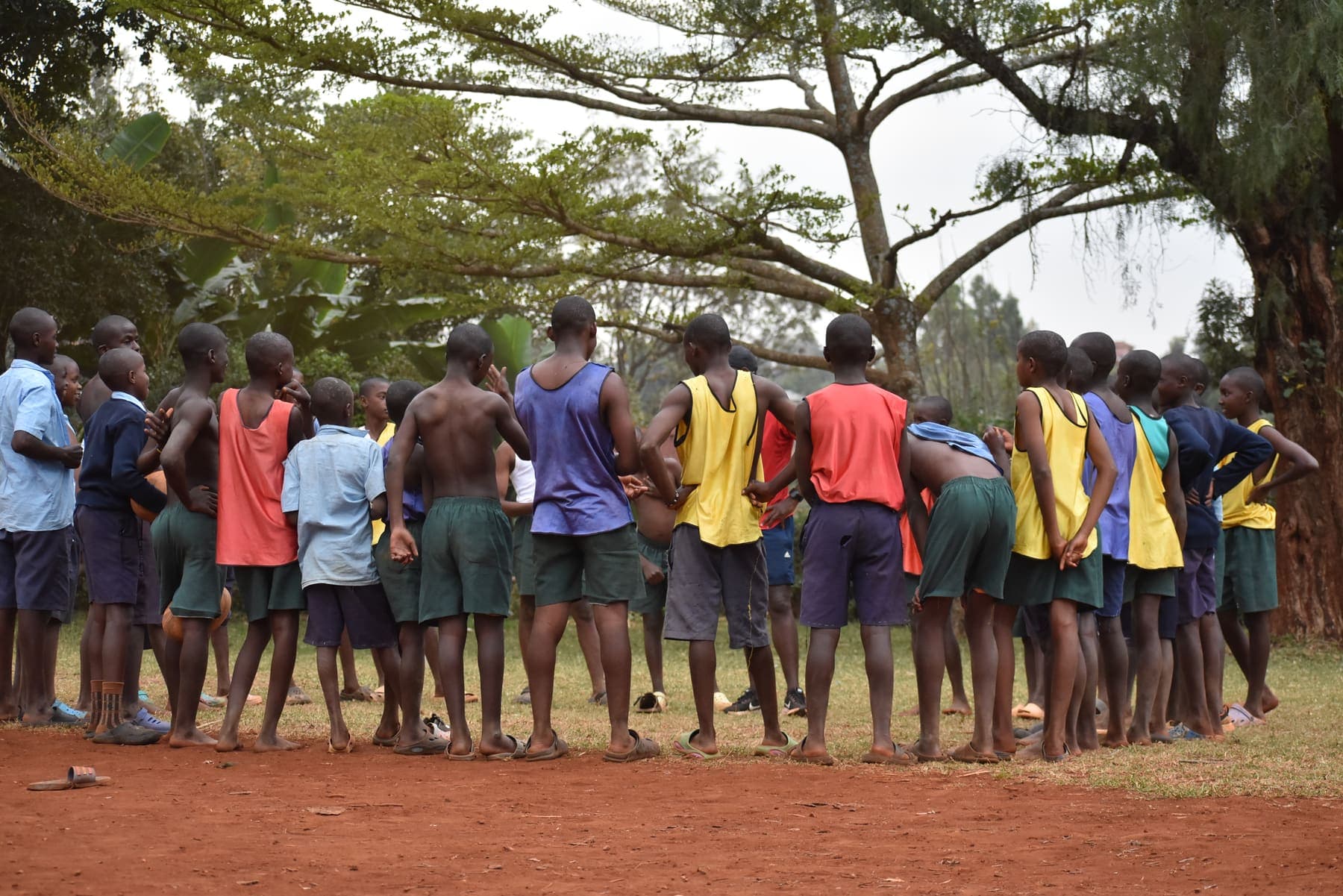 Players in coloured training bibs lined up under a broad tree, waiting for the next drill to start.