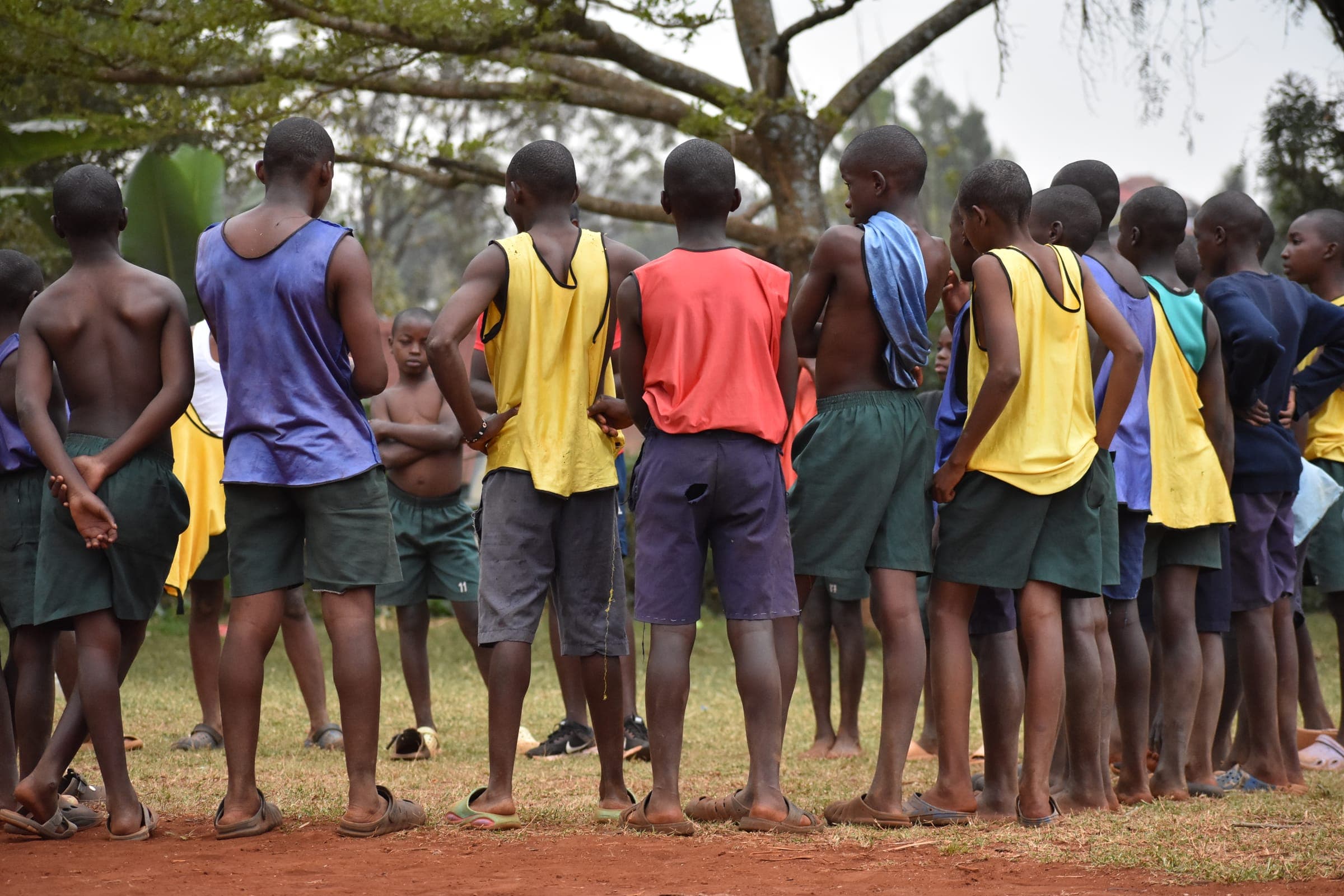 Players in training bibs lined up under a broad tree at the start of a session.